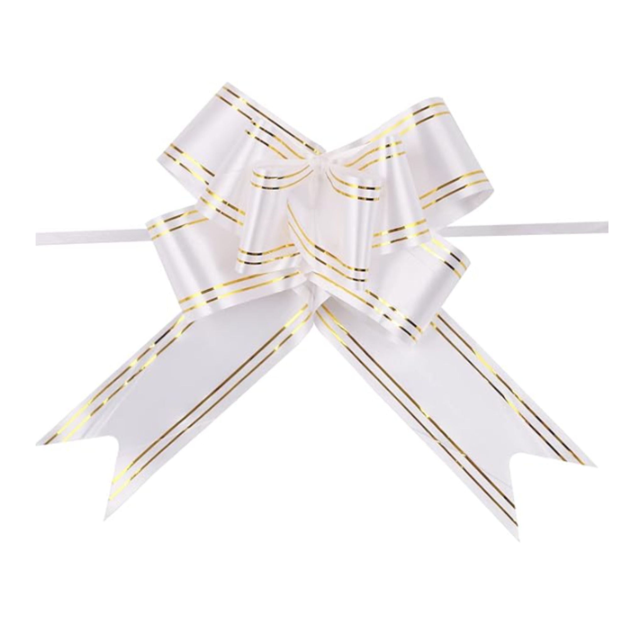 Cintas Mágicas de Regalo x10