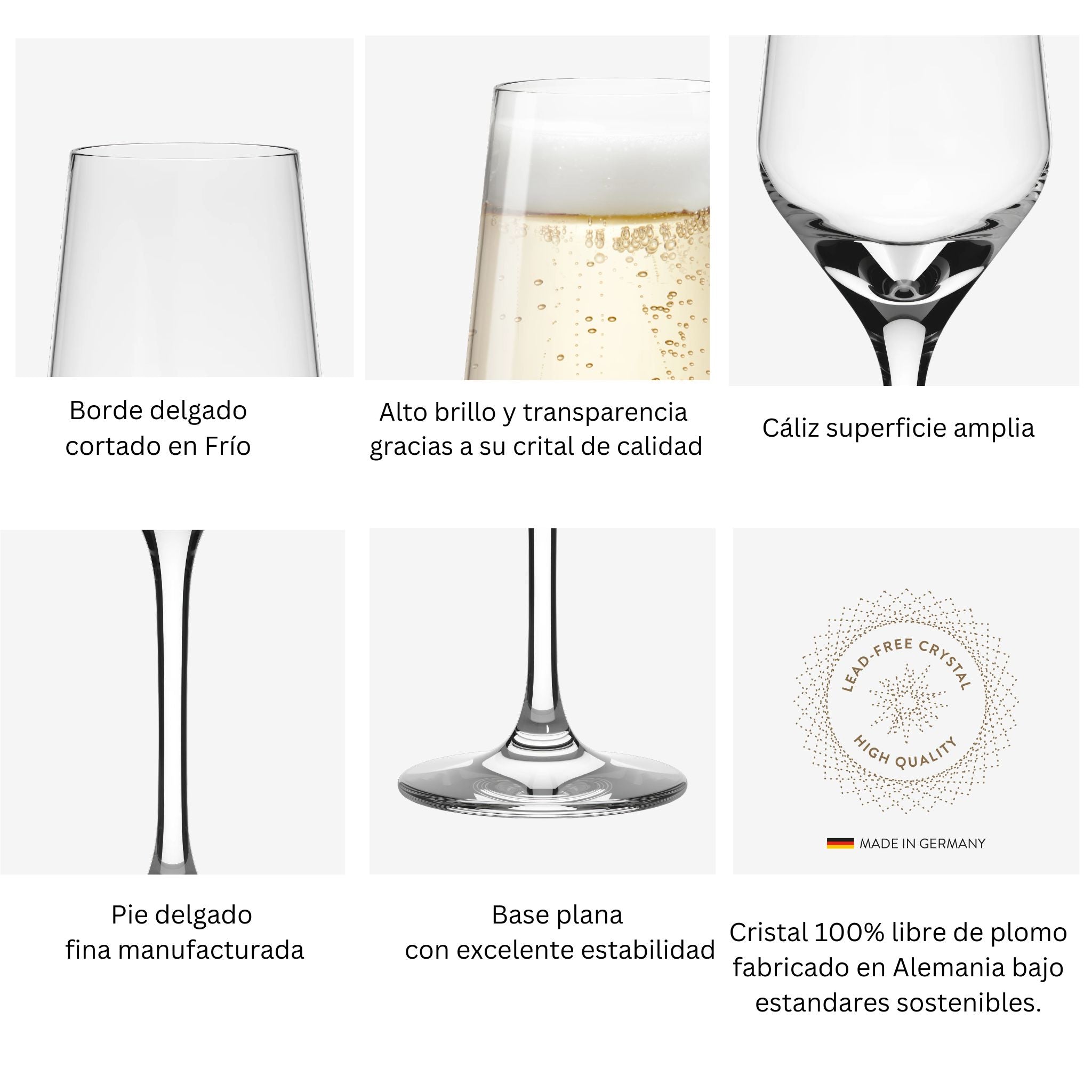 Set 6 Copas de Champagne 248cc