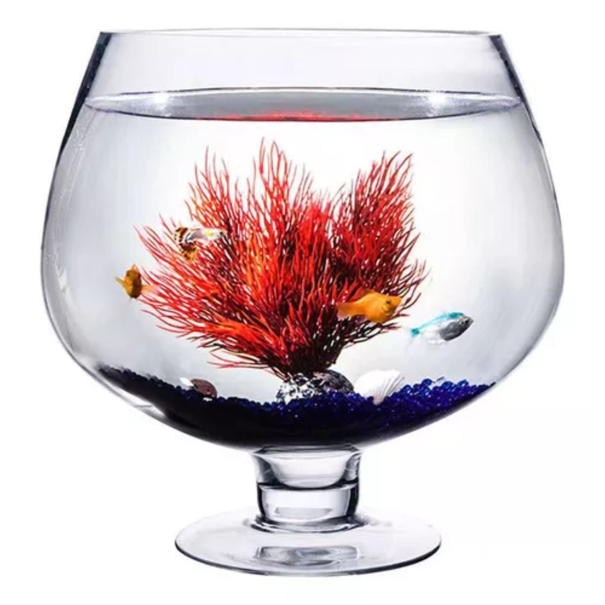 Copón de Vidrio Gigante 5,7L